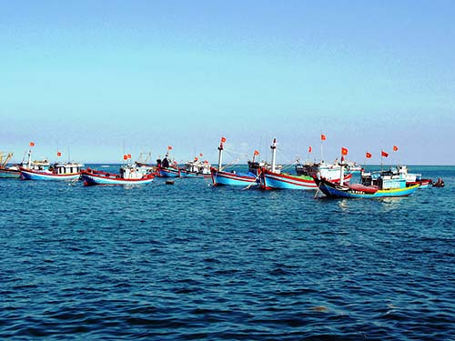 Thừa Thiên - Huế Ngư dân vững tin bám biển